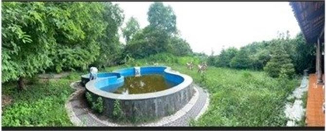 Cực Ngộp! Biệt Thự Vườn 1200m2, Mặt tiền Đỗ Đăng Tuyển, Xã Nhuận Đức, Củ Chi - 5