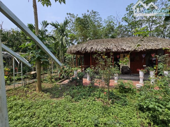 Bán nhà vườn ở Tứ liên 2500m2 làm homestay, nhà hàng, café, view Sông hồng - 10