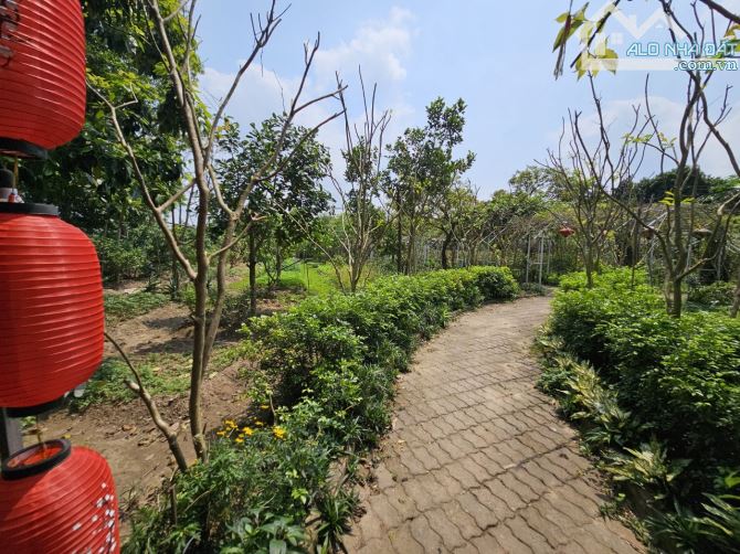 Bán nhà vườn ở Tứ liên 2500m2 làm homestay, nhà hàng, café, view Sông hồng - 11