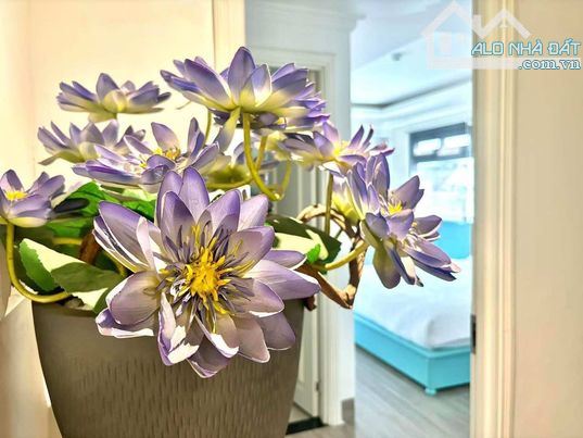 🌷Cần bán khách sạn mặt tiền đường Vân đồn, Phước Hòa, Nha Trang 97m2 8 tầng giá 29,5 tỷ - 1