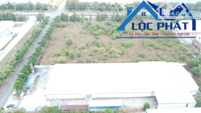 Bán nhà xưởng 24.000m2 giá chỉ 90 tỷ góc 2MT KCN Nhơn Trạch-Đồng Nai - 2