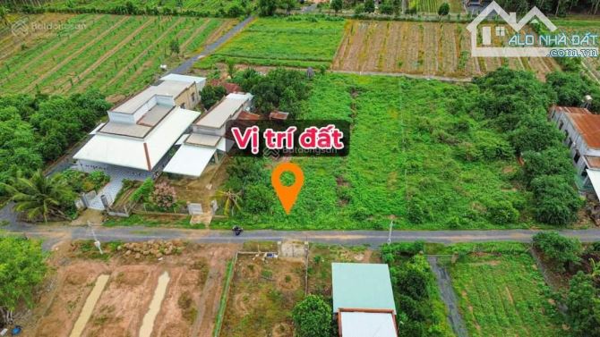 Bán đất nền gò dầu giá 600 triệu /95m2 chính chủ công chứng trong ngày - 2