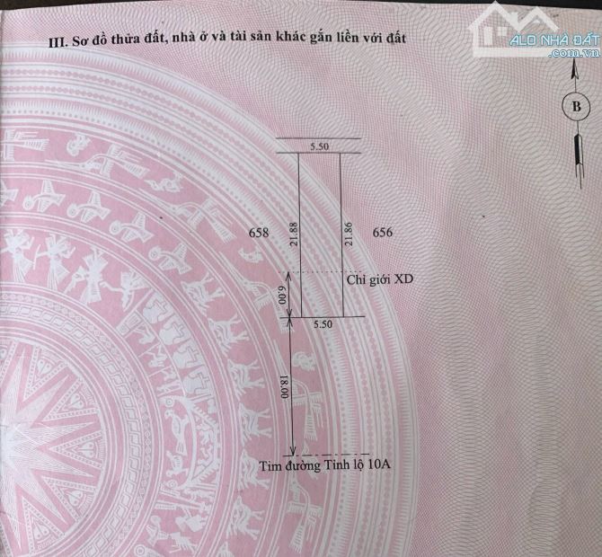 Bán đất 120m2 mặt tiền đường Tỉnh lộ 10, Dưỡng Mong, xã Phú Mỹ, huyện Phú Vang - 5