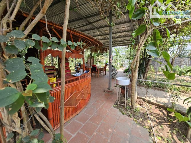 Bán nhà vườn ở Tứ liên 2500m2 làm homestay, nhà hàng, café, view Sông hồng - 6