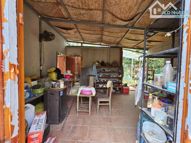 Bán nhà vườn ở Tứ liên 2500m2 làm homestay, nhà hàng, café, view Sông hồng - 7