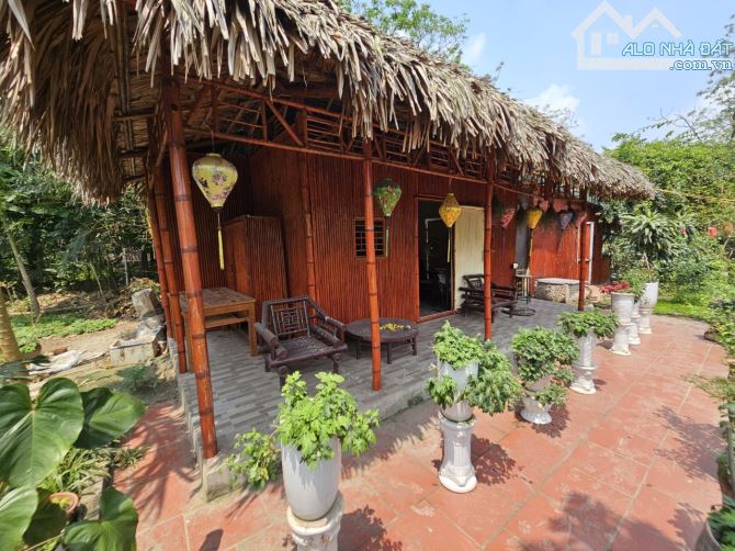 Bán nhà vườn ở Tứ liên 2500m2 làm homestay, nhà hàng, café, view Sông hồng - 8