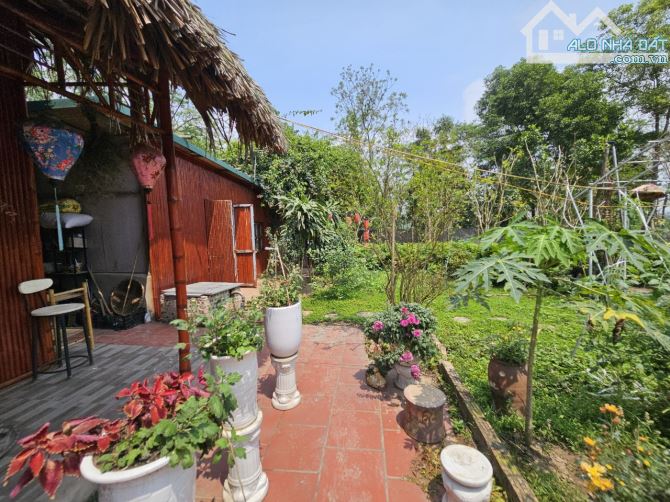 Bán nhà vườn ở Tứ liên 2500m2 làm homestay, nhà hàng, café, view Sông hồng - 9