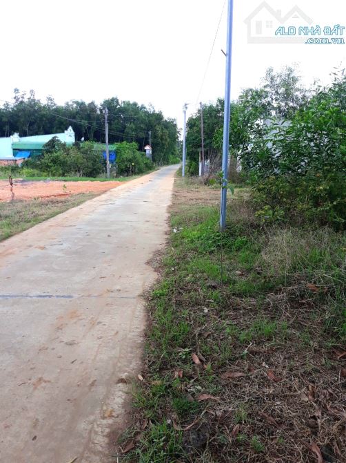 Bán 1233m2, đường bê tông 24m, sẵn 150m2 thổ cư, nở hậu giá 1.479 tỷ - 1