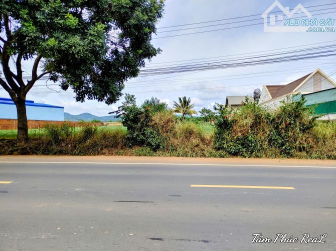 Bán 6.000m2 đất mặt tiền QL 20 xã Phú Hội,Đức Trọng,Lâm Đồng,giá bán 45 tỷ - 1