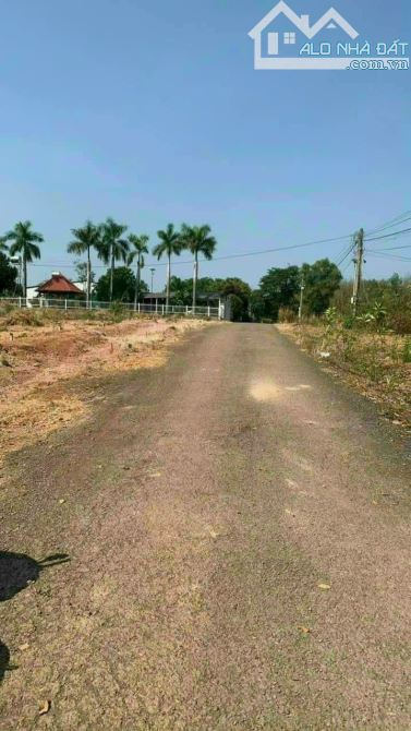 Bán đất thổ cư khu phố suối cam giá 490 triệu - 2