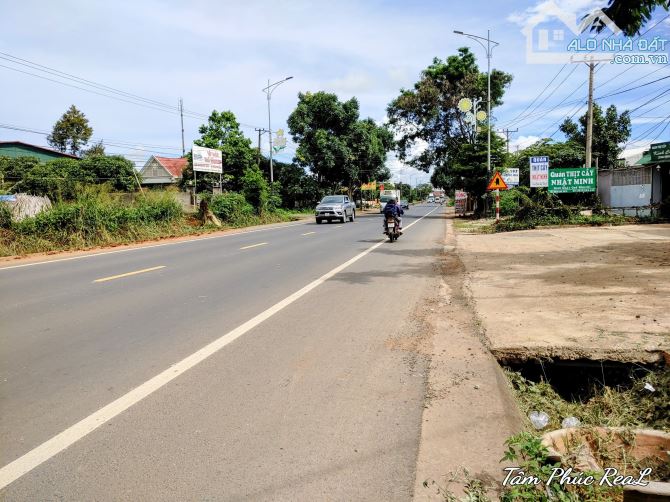 Bán 6.000m2 đất mặt tiền QL 20 xã Phú Hội,Đức Trọng,Lâm Đồng,giá bán 45 tỷ - 3
