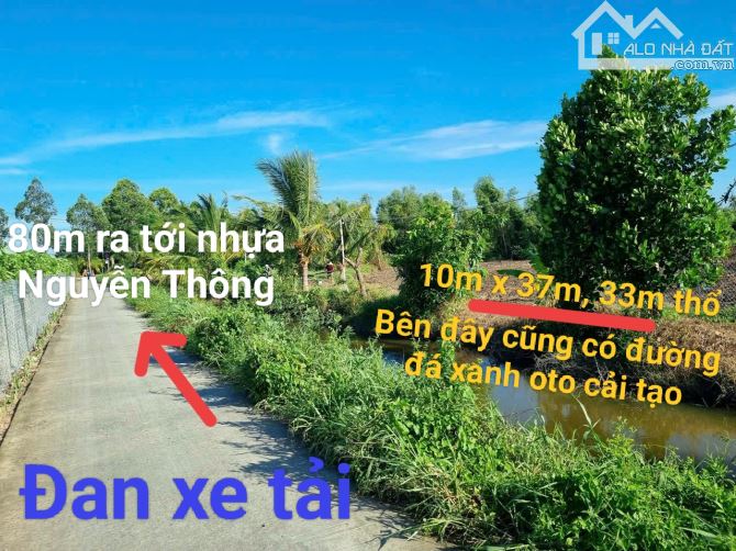 10x37,33 đường oto gần chợ Tầm Vu - 1