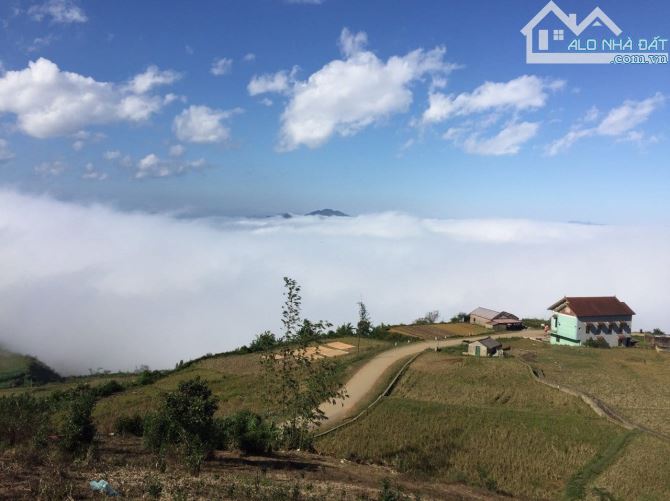 Chính chủ cần bán  đất du lịch săn mây Vân Hồ – Mộc Châu,  Sơn La