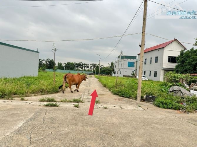 Bán đất Thôn Đồng Nguyên Khê - đất siêu đẹp, siêu thơm - 2