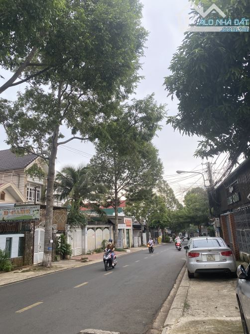 💥  Đất nguyễn khuyến DT khủng13x46m(640m2) Tân Lợi 14,6 Tỷ 🌻 - 3
