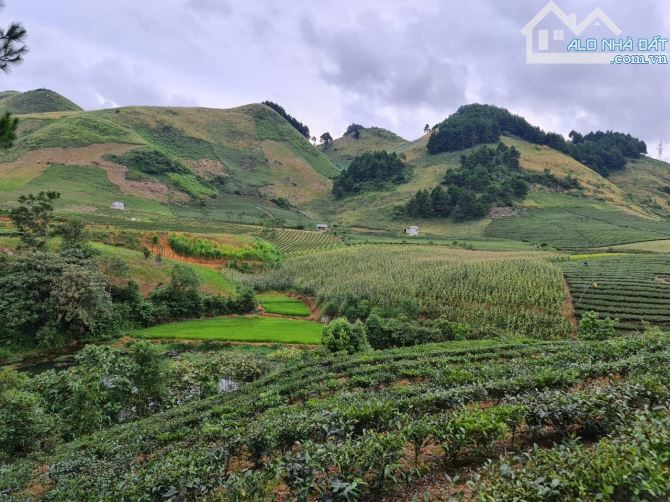 Chính chủ cần bán  đất du lịch săn mây Vân Hồ – Mộc Châu,  Sơn La - 2