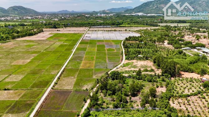 Bán đất xã Suối Cát, Cam Lâm, Khánh Hoà  3400m2 ( rộng 70m ) giá 2,5trđ/m2 - 7