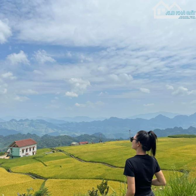Chính chủ cần bán  đất du lịch săn mây Vân Hồ – Mộc Châu,  Sơn La - 6