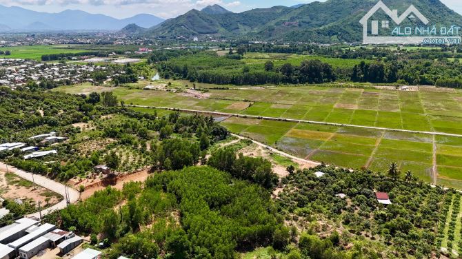 Bán đất xã Suối Cát, Cam Lâm, Khánh Hoà  3400m2 ( rộng 70m ) giá 2,5trđ/m2 - 9