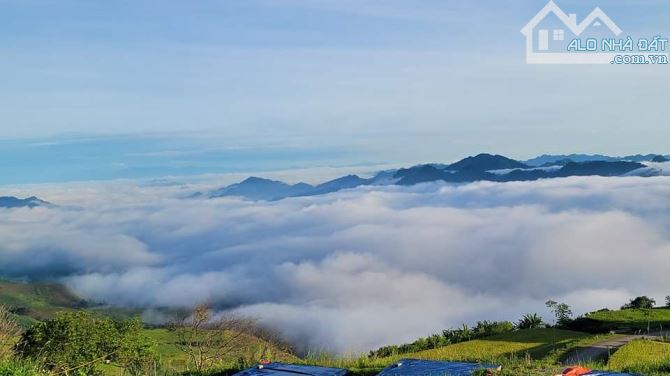 Chính chủ cần bán  đất du lịch săn mây Vân Hồ – Mộc Châu,  Sơn La - 7