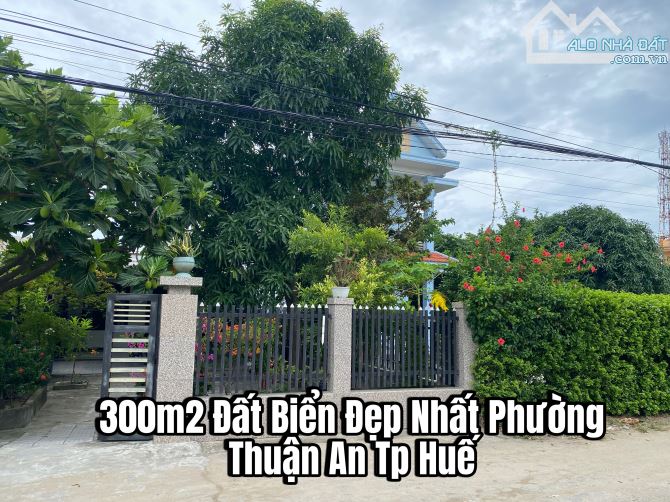 Mặt Tiền Trục Chính ĐẤT BIỂN THUẬN AN RẤT ĐẸP-300m2 và Cách biển 300m - 1