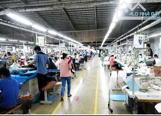 Cần bán gấp nhà xưởng 5800m2 trong KCN Quang Trung, Phường Hiệp Thành, Quận 12. - 1