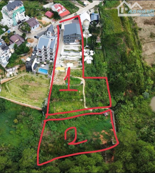 ĐẤT TẶNG CƠ SỞ KINH DOANH VIEW ĐỒI THÔNG SIÊU ĐẸP P10 5008m2  45 TỶ - 2
