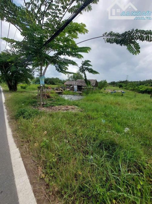 Bán đất mặt tiền đường Lê Thị Tám, xã Nhơn Đức, Nhà bè. dt:5x20=100m2.MT. - 3