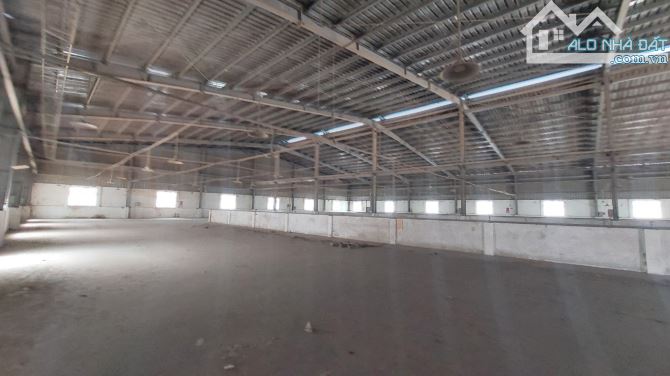 XT117 Xưởng cho thuê 14.000m2. Phước Tân. Biên Hòa. Gần Đường Võ Nguyên Giáp - 5