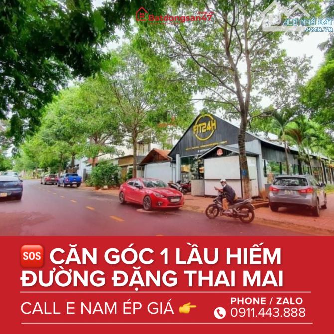 💥CĂN GÓC 2MT HÀNG HIẾM ĐẶNG THAI MAI