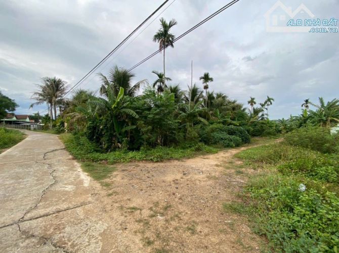 Đất đầu tư Ninh Đông Ninh Hoà, cách trung tâm thị xã Hơn 1,5km