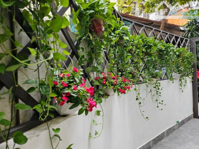 💥Giảm Chào 300Tr, Siêu Phẩm Đống Đa, Thiết Kế Cực Đẹp, Lô Góc Thoáng Sáng, DT62m2, 4 Tầng - 11