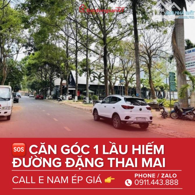 💥CĂN GÓC 2MT HÀNG HIẾM ĐẶNG THAI MAI - 1