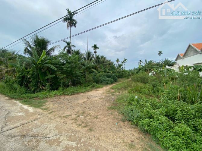 Đất đầu tư Ninh Đông Ninh Hoà, cách trung tâm thị xã Hơn 1,5km - 1