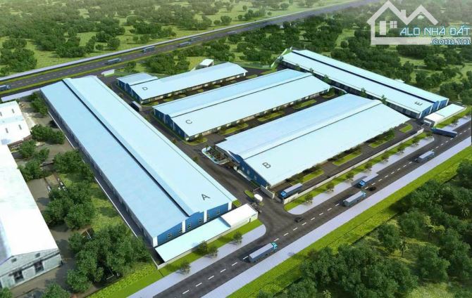 Cần bán 20.000m2 đất sxkd tại Điện Bàn Quảng Nam. - 2