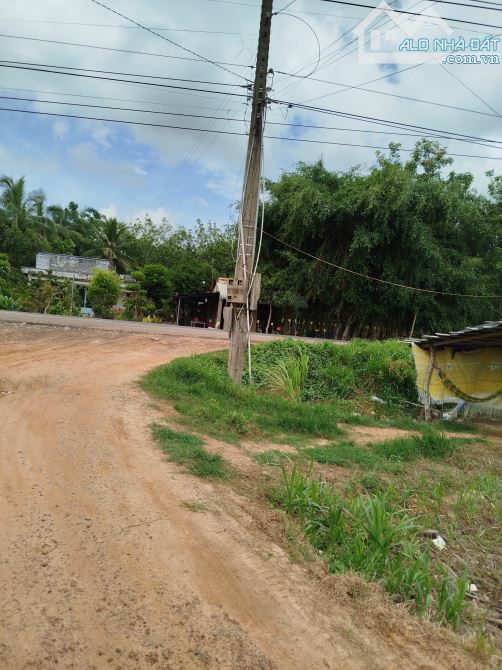 Cần chuyển nhượng mảnh đất cho bạn nào mua xây nhà Yến, có điện, có yến bay chỉ 167tr/công - 2