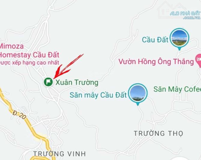 Bán Đất Thổ Cư Khu Săn Mây, View Điện Gió, Đồi Chè Đẹp Nhất Đà Lạt - 4