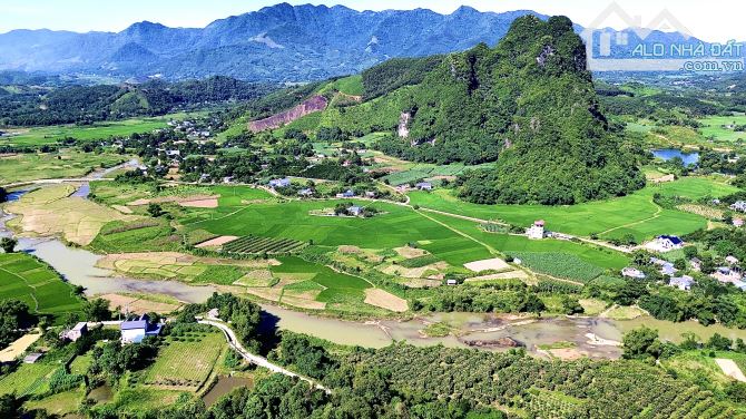 2284m Cây Lâu Năm Bám Sông Bôi - Trên Đất Trồng Full Xoài - 4