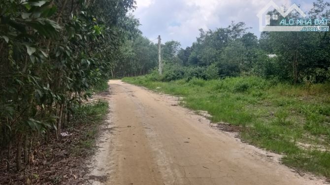 22.454m2 Thị xã Lagi cách Lý Thường Kiệt 900m, phủ hồng 19.000m2 - 5