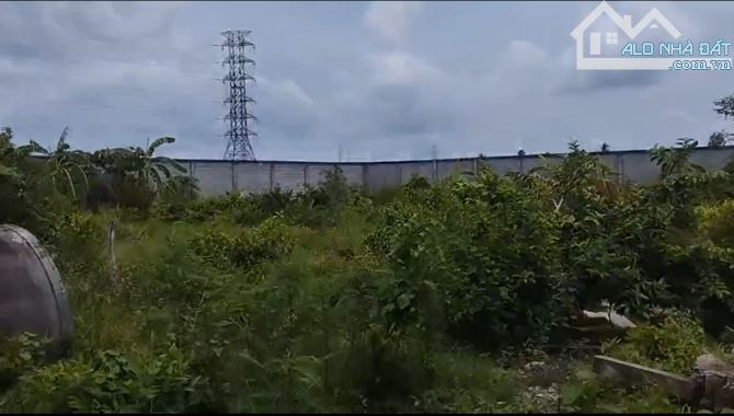 4800m2 đất mặt tiền Mỹ Bình Nhựt Chánh, xã Nhựt Chánh,Bến Lức,Long An giá 22 tỷ - 1
