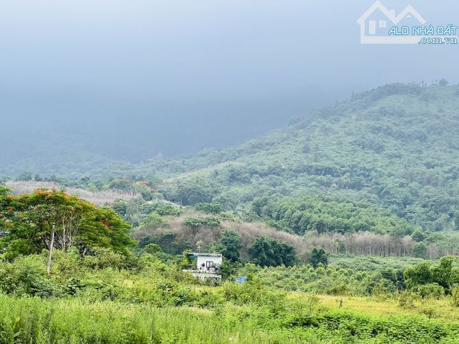 2,5HA LƯNG TỰA NÚI NAM VIÊN VIEW HỒ CỐ ĐỤNG CỰC ĐẸP - 2