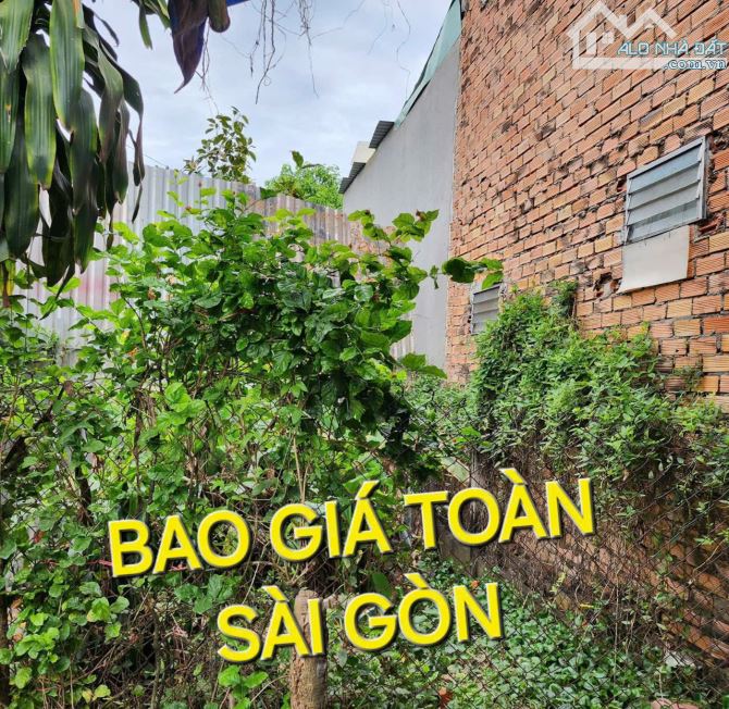 Bao Giá Toàn Sài Gòn - Đất 235m2 có 1,75 tỷ TL8 Hòa Phú Củ Chi TpHCM - 2