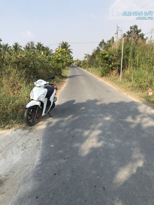 4800m2 đất mặt tiền Mỹ Bình Nhựt Chánh, xã Nhựt Chánh,Bến Lức,Long An giá 22 tỷ - 3