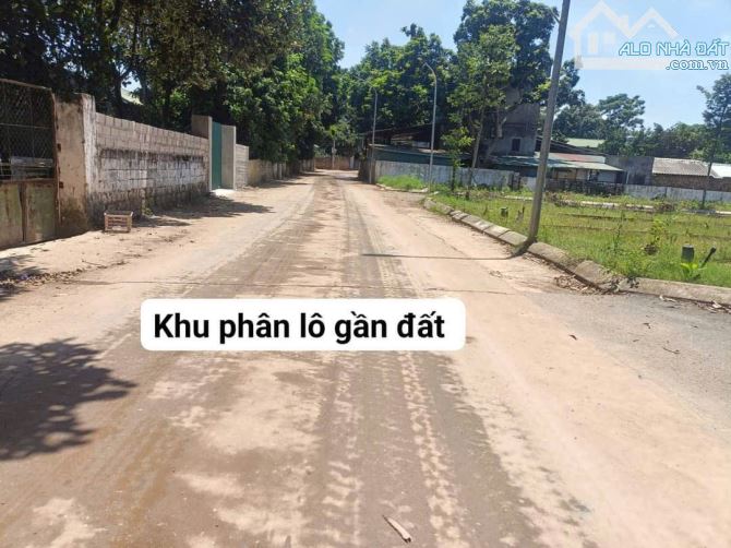 SIÊU PHẨM LÔ GÓC 150M2 CỔ ĐÔNG, SƠN TÂY; GIÁ CHỈ 1XTR/M2 - 3