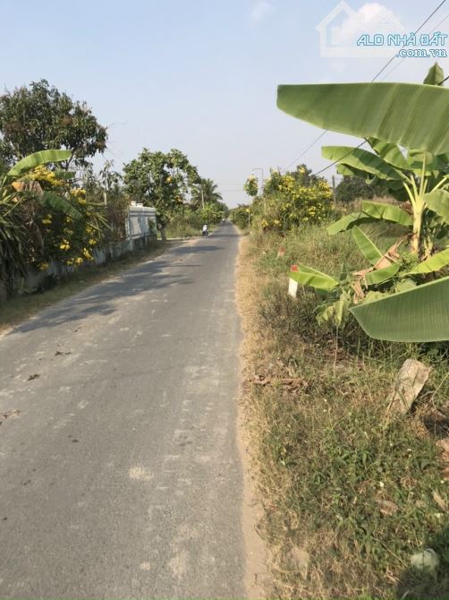 4800m2 đất mặt tiền Mỹ Bình Nhựt Chánh, xã Nhựt Chánh,Bến Lức,Long An giá 22 tỷ - 4