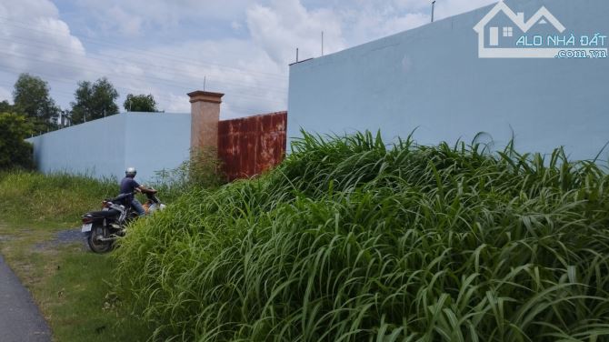 4800m2 đất mặt tiền Mỹ Bình Nhựt Chánh, xã Nhựt Chánh,Bến Lức,Long An giá 22 tỷ - 5