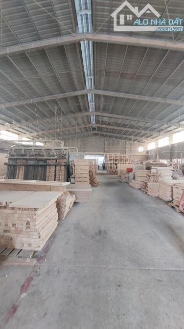 Cho Thuê Xưởng 2000m2 đường Võ Nguyên Giáp ,Biên Hòa. - 5