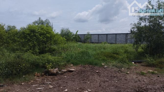 4800m2 đất mặt tiền Mỹ Bình Nhựt Chánh, xã Nhựt Chánh,Bến Lức,Long An giá 22 tỷ - 6