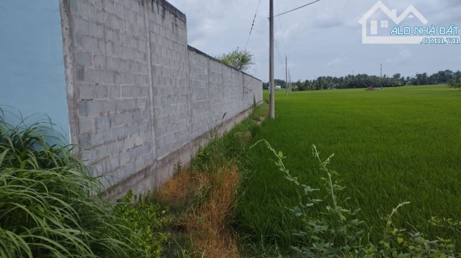 4800m2 đất mặt tiền Mỹ Bình Nhựt Chánh, xã Nhựt Chánh,Bến Lức,Long An giá 22 tỷ - 7