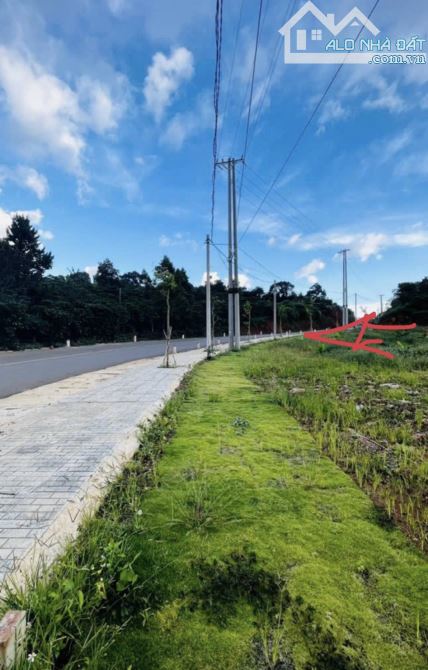 👍Bán đất mặt tiền Âu Cơ Tân Lạc Bảo Lâm Bảo Lộc. 3500m2 thổ cư sẵn!